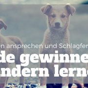 Von Kindern lernen: Freunde gewinnen Bild: drei Hundewelpen