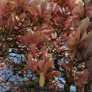 Corona: Zwischen Vertrauen und Angst