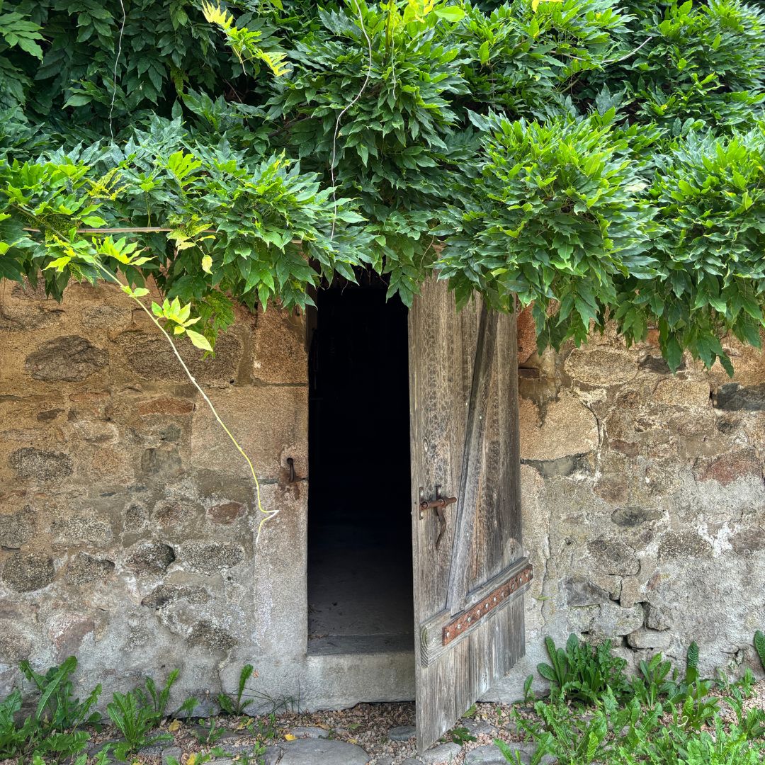 Alte Holztür in einer Bruchsteinwand.